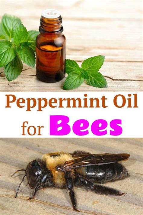 does peppermint oil repel carpenter bees|does peppermint oil repel bees.